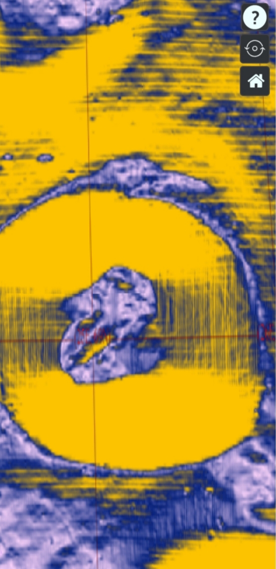 Jagmohan of Bikaner Discovered the fossils of Dinosaurs below the surface of the Moon